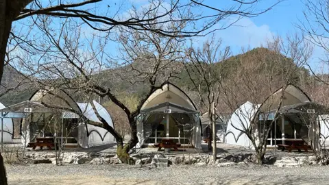 거목 글램핑