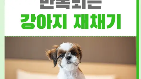 웰튼동물의료센터