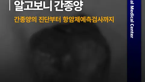 에스디(SD)동물의료센터,서울