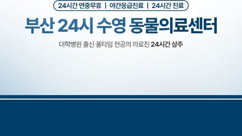 부산 24시 수영동물의료센터