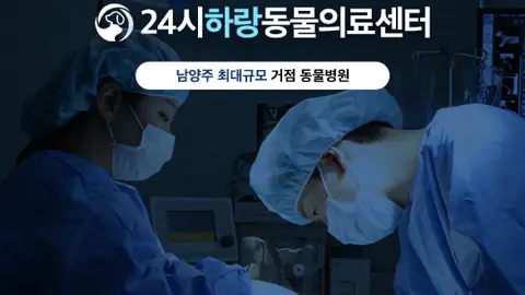 하랑동물의료센터