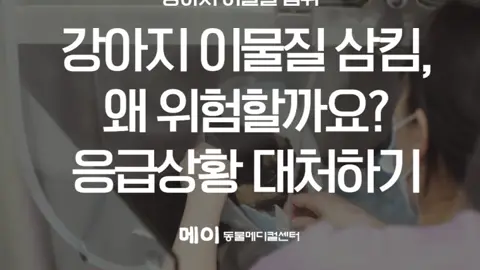 메이동물메디컬센터