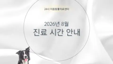24시 포항 이음동물의료센터