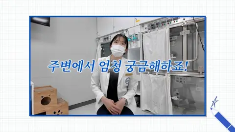 고려동물메디컬센터