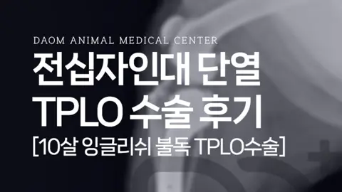 24시청주다옴동물의료센터