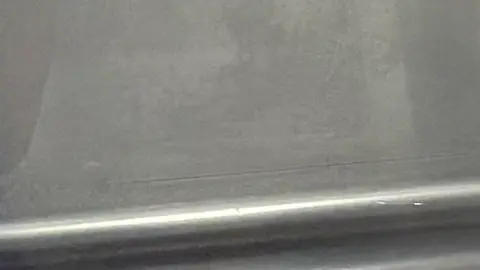 더블리스동물의료센터
