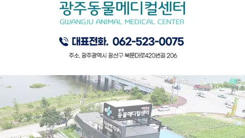 광주동물메디컬센터