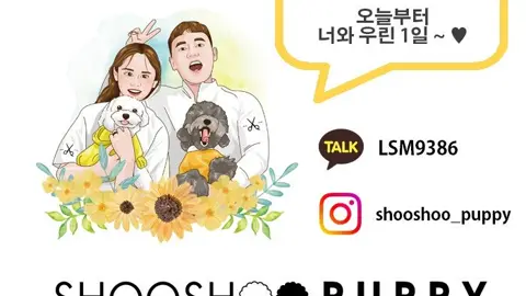 슈슈퍼피